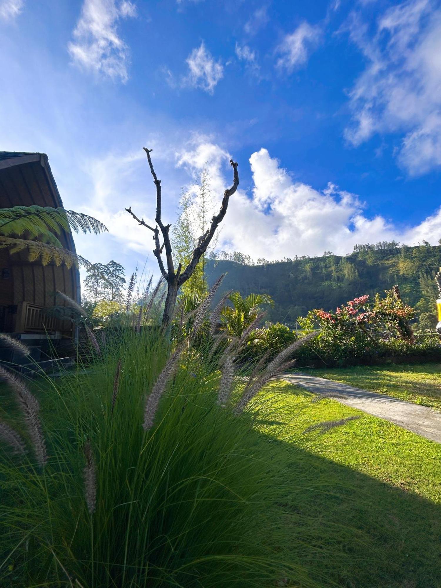 Batur Cottage Kubupenlokan Dış mekan fotoğraf